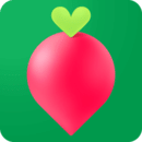 �������APP13.11.2 2026���������������