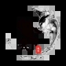��������APP��׿���°汾v3.4.9 2026�������º����ѯ�⼪��