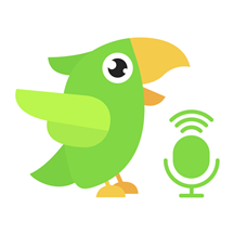 Ӣ��Ȥ����app�ٷ��������ذ�װ8.6.01 2026�ֻ���