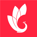 巅峰减重 - Android 生活实用