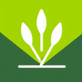 禾稻生活匣子 - Android 生活实用