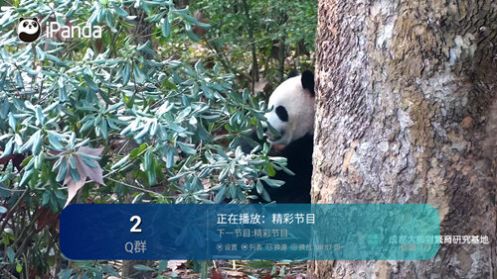 酷興TV高清大圖