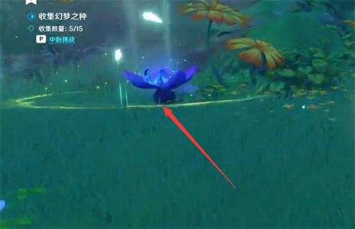 原神幻梦之门怎么开启