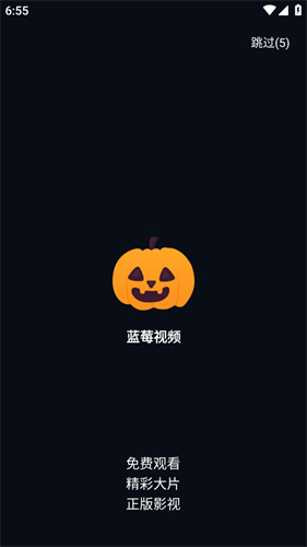 蓝莓视频无偿版