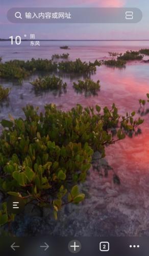 乐感浏览器安卓版下载