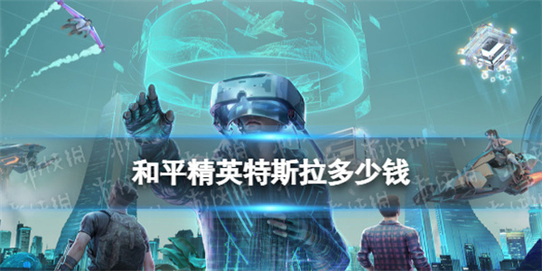 和睦精英特斯拉多少钱 特斯拉皮肤价钱介绍