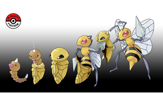 宝可梦大探险独角虫需要用什么食谱