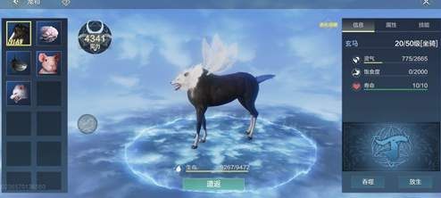 妄想山海玄马怎么进化出翅膀