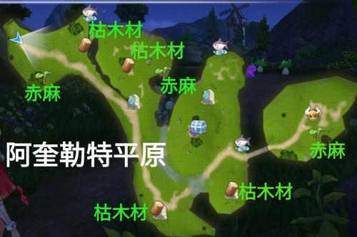 玛娜希斯回响官服