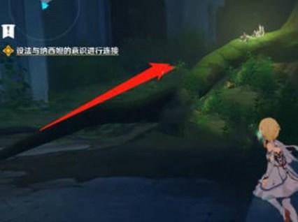 原神与纳西妲的进行意识进行连接任务攻略