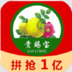 贵赐宝 - Android 精品软件