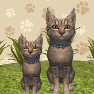 萌宠生存记 - Android 模拟经营