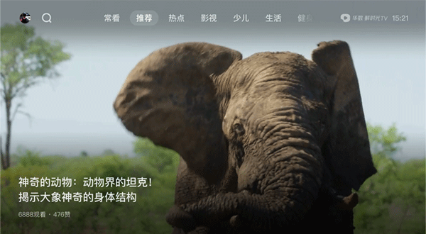 西瓜視頻tv版高清大圖