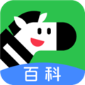 �����ٿ�app2026���°����ذ�װv2.38.0 2026��׿��