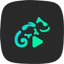 Stellio Player - Android 生活实用