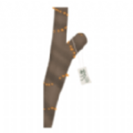 梦想成真 - Android 休闲益智