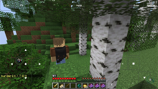 烦人的村民6.0模组截图1