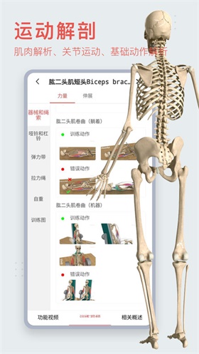 3DBody解剖无偿版