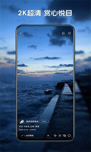 星咩视频壁纸下载app