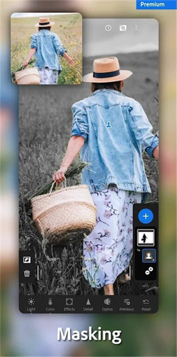 lightroom安卓免费版截图2