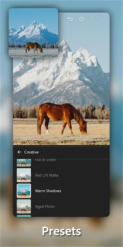 lightroom安卓免费版截图1