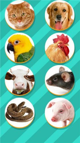 pettranslator生物翻译器