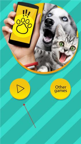 pettranslator生物翻译器