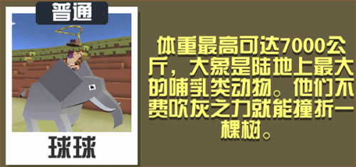 疯狂生物园安装包