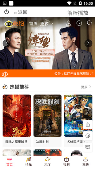 猫咪视频高清大图