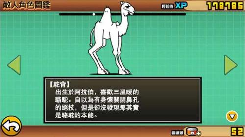 猫咪大摩擦dog版