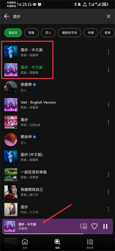 声破天spotify