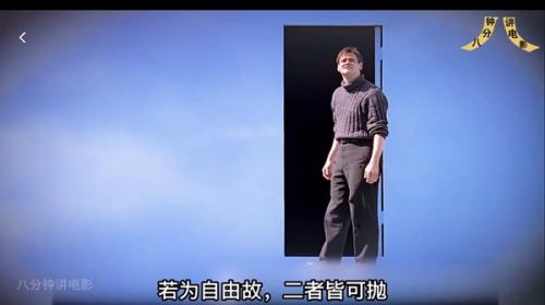 海鸥影评2025最新版