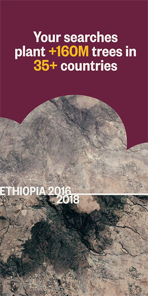 ecosia搜索引擎下载