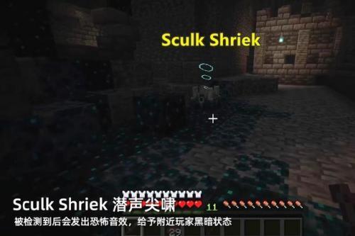 我的全球1.19基岩版