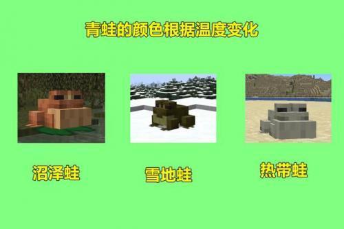 我的全球1.19基岩版