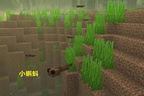 我的全球1.19基岩版