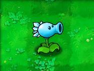 植物大战僵尸1老版本