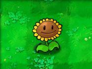 植物大战僵尸1老版本