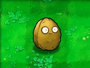 植物大战僵尸1老版本