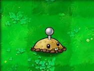 植物大战僵尸1老版本