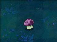 植物大战僵尸1老版本