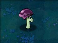 植物大战僵尸1老版本