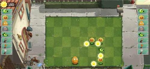 草木大战僵尸双人版