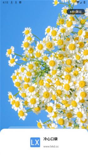 冷心口袋官方正版