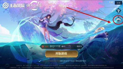 王者荣耀5v5单机版