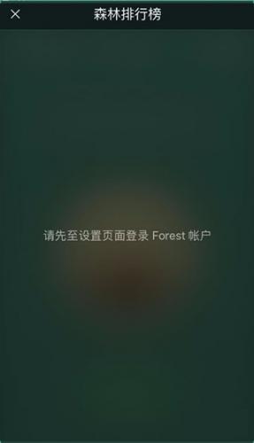 forest专注森林