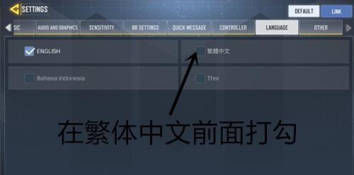 决胜时刻国际服
