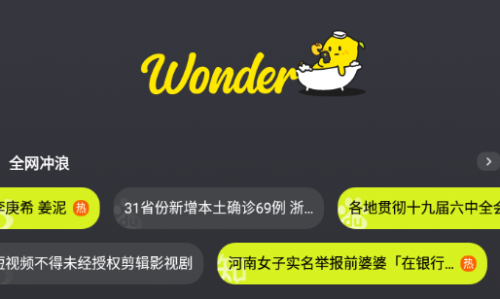 Wonder
