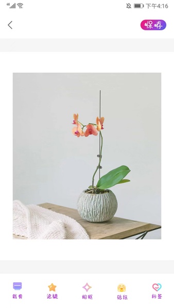 ProMovie相机下载手机版