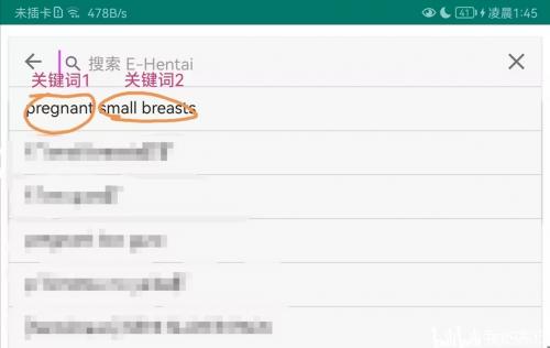 ehviewer1.9.9.9双标签搜索
